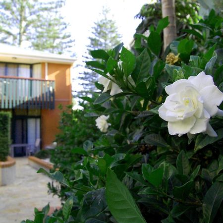 The Crest Byron Bay Aparthotel ภายนอก รูปภาพ